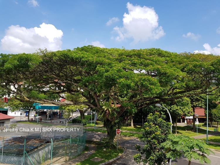 Sembawang Hills Estate (D20), Terrace #170191642